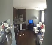 Busty ebony milf gets big dick from little white boy