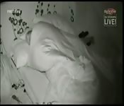 Annina Ucatis fucking in Big Brother