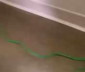 Une employée mariée baisée par le réparateur