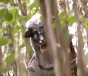 Little Red Riding Hood sucks three cocks