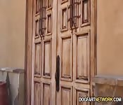 Interracial gang bang, nonstop